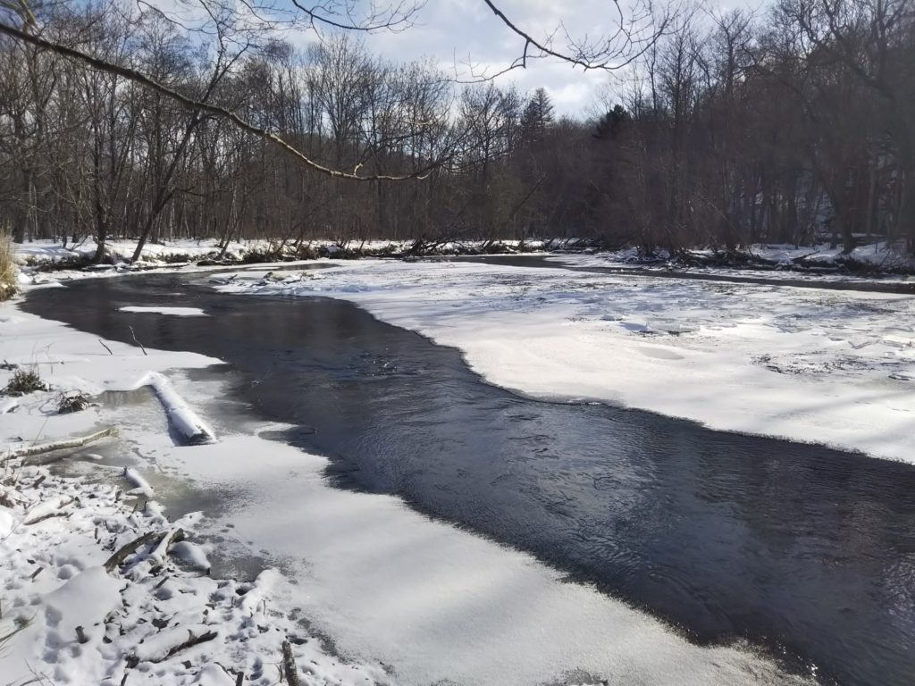 鏡の間手前まで氷が来ています。 さらに水が減ったっ為川の岸も凍り付いてました。
